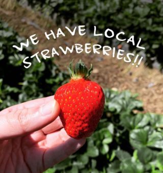 We’re so excited to bring you the first of the local strawberries! @maanfarms really outdid themselves this year. These strawberries taste like summer.